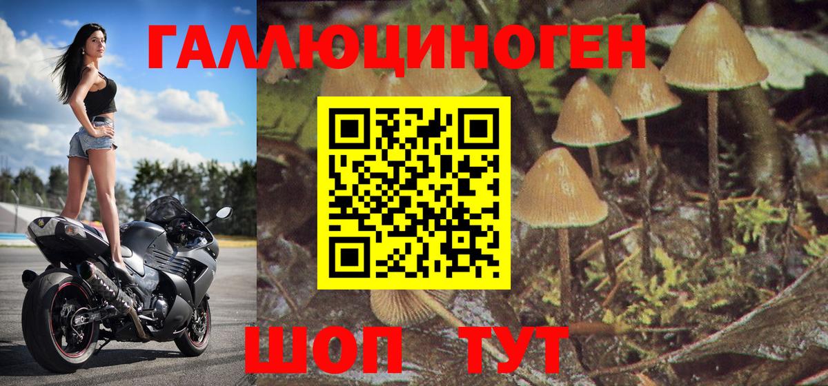 Галлюциногенные грибы мицелий Йошкар-Ола