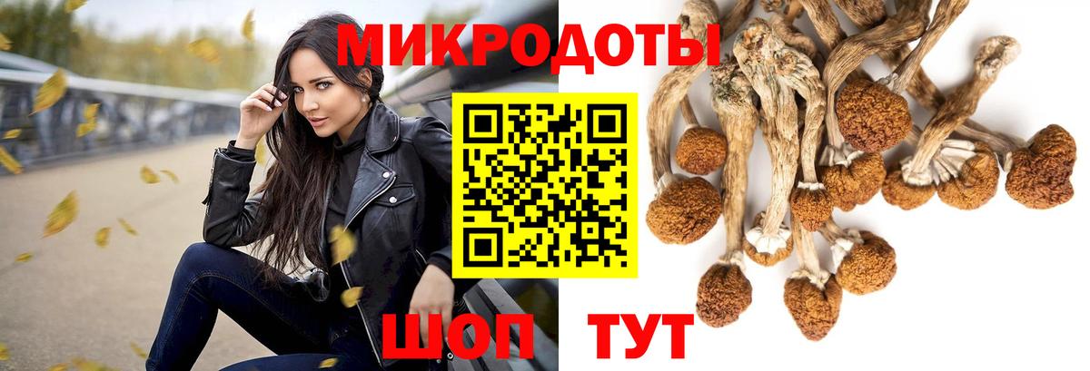 Йошкар-Ола  Псилоцибиновые грибы Cubensis  Вход с VPN 